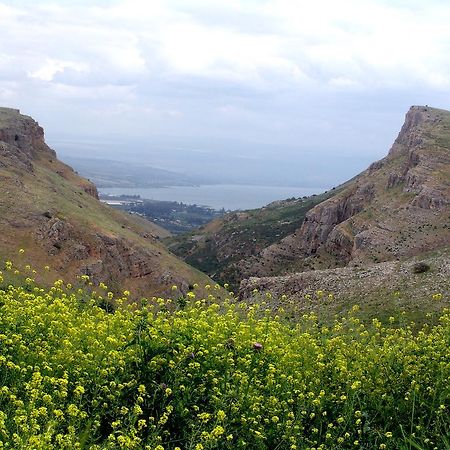 Arbel Holiday Homes Bagian luar foto