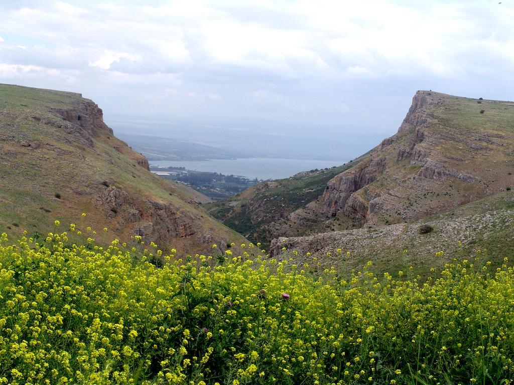 Arbel Holiday Homes Bagian luar foto